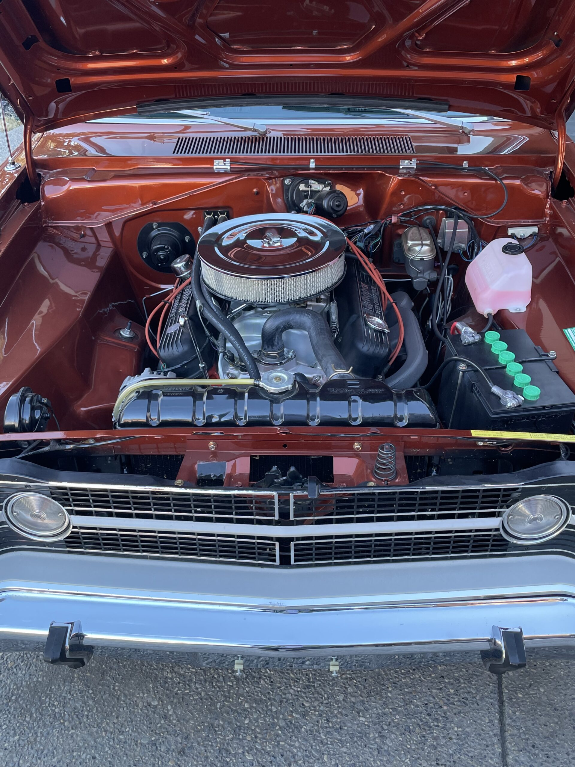 Photo 2024-02-23, 2 38 26 PM